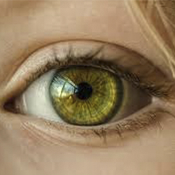 Lentes Gelatinosas